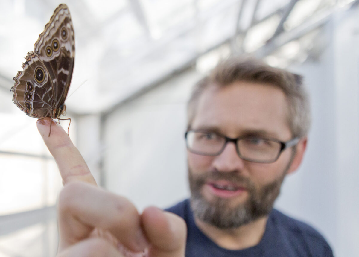 Thanksgiving Point butterfly exhibit gets visitors up close with